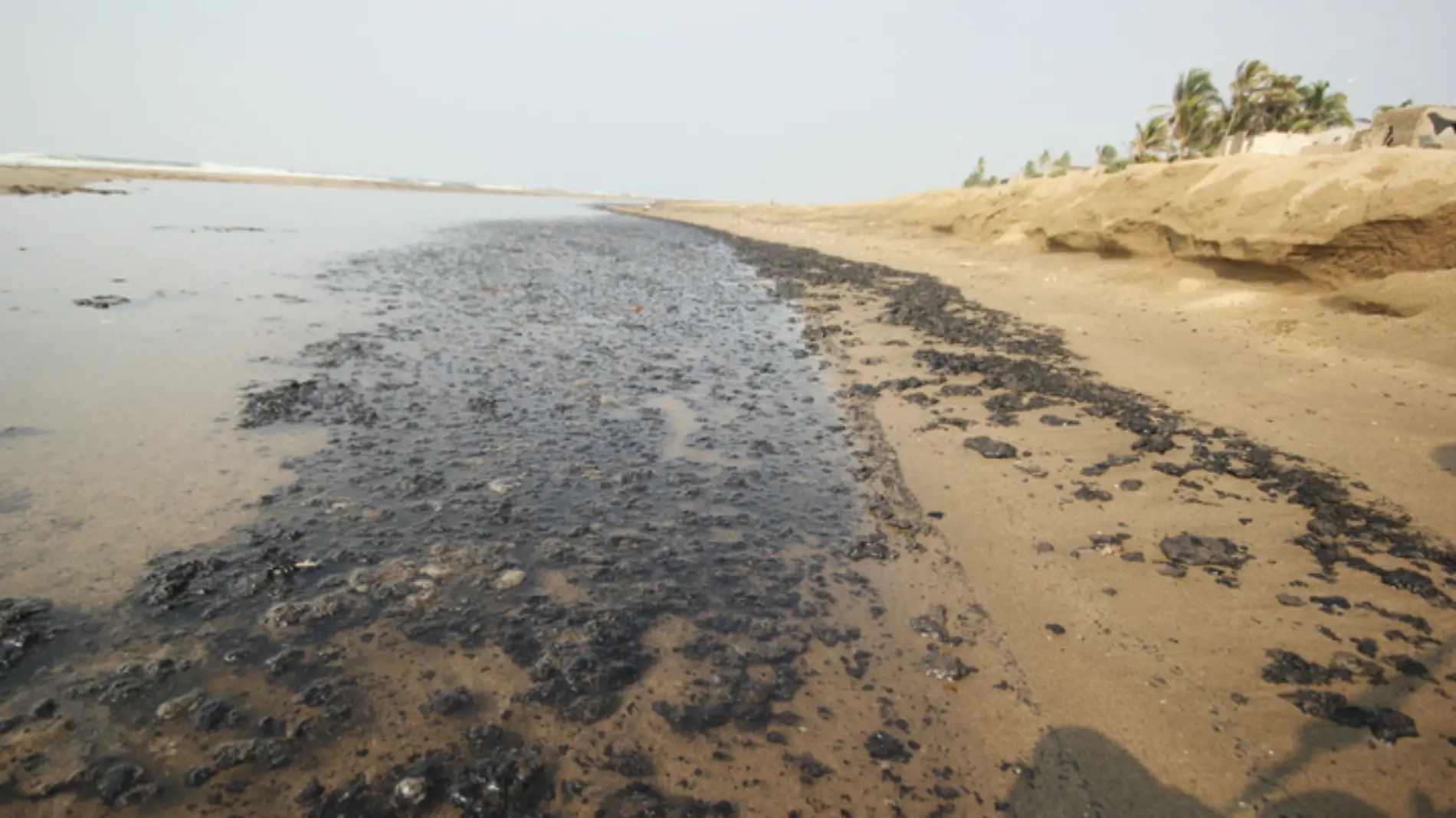 Alertan por crudo en playas de Tabasco